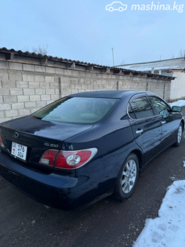 Toyota Windom