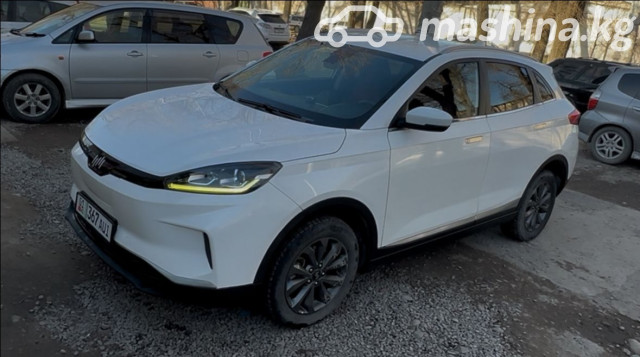 Weltmeister EX5