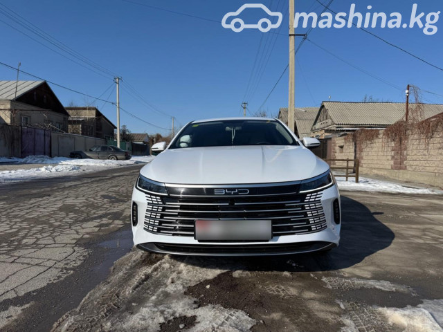 BYD Destroyer 05