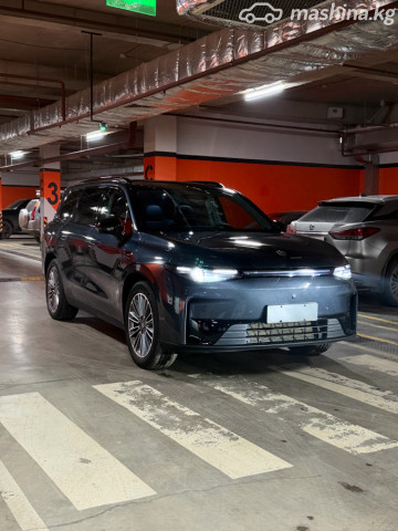 Leapmotor C10
