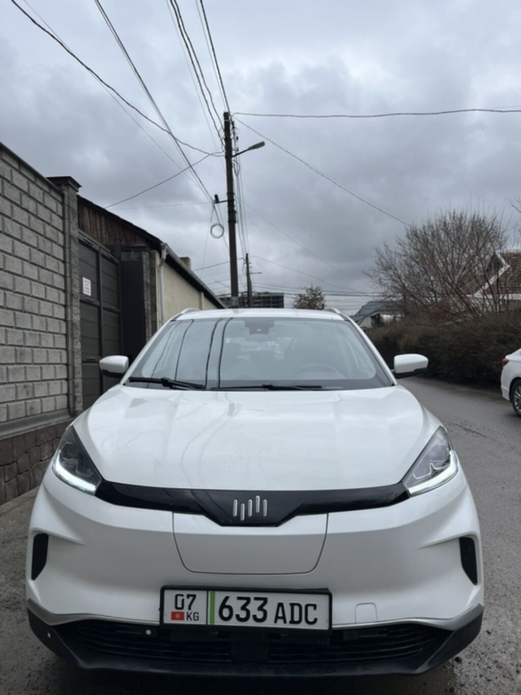 Электромобиль (кроссовер) белого цвета Основные характеристики и