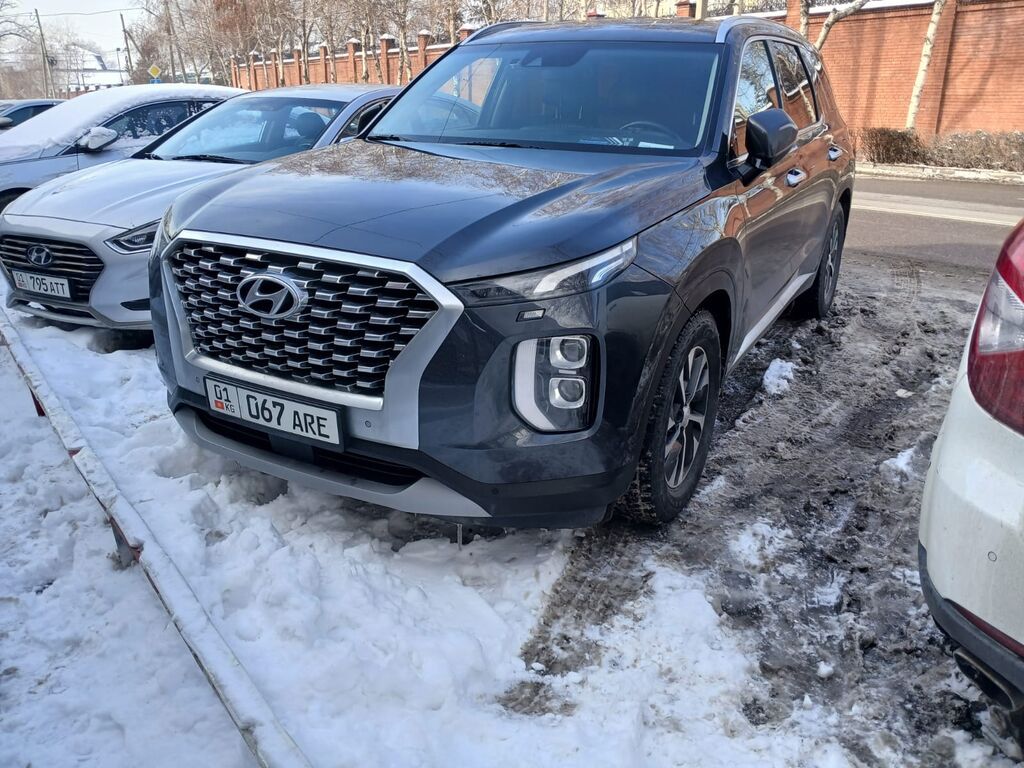 Hyundai Palisade