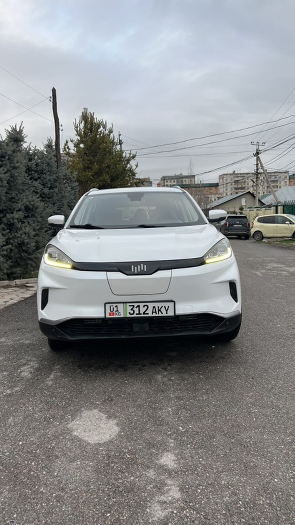 Weltmeister EX5, 2020 г., 85000 км, Передний