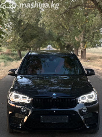 BMW X5 M
