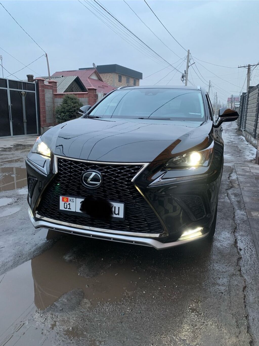Lexus NX
