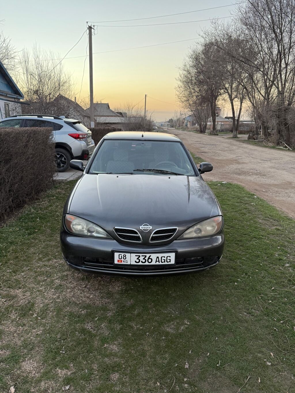 Nissan Primera
