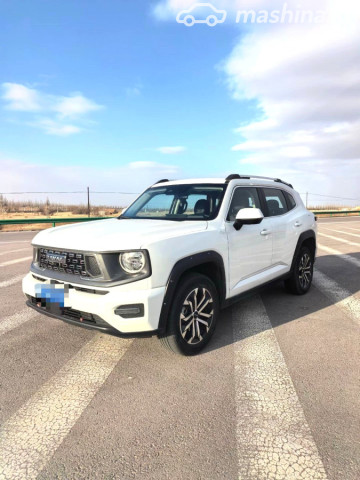 Haval DaGou (Big Dog)