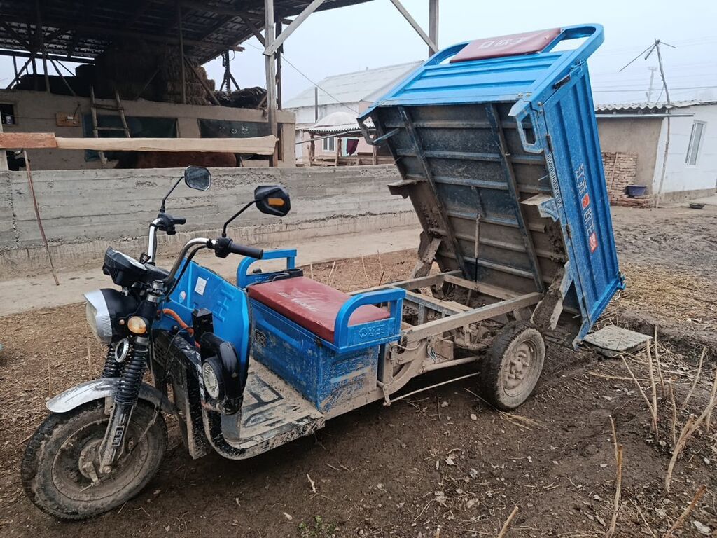 Грузовой трёхколёсный мототранспорт (трицикл) с самосвальным кузовом