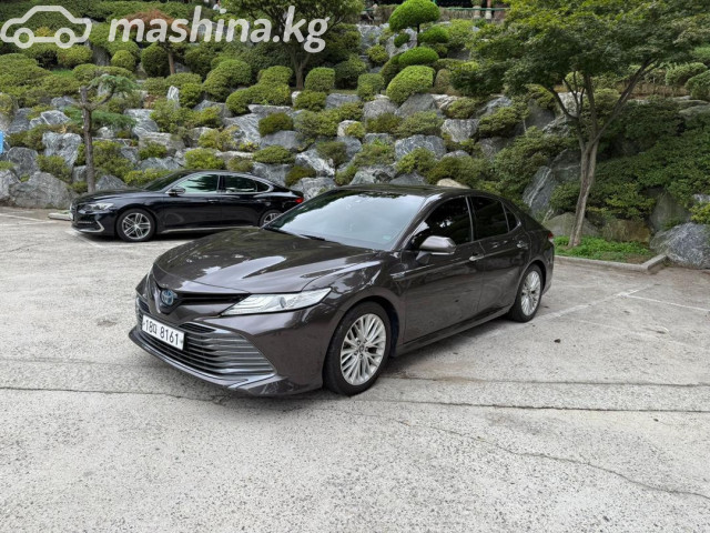 Toyota Camry (Japan)