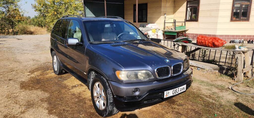 BMW X5