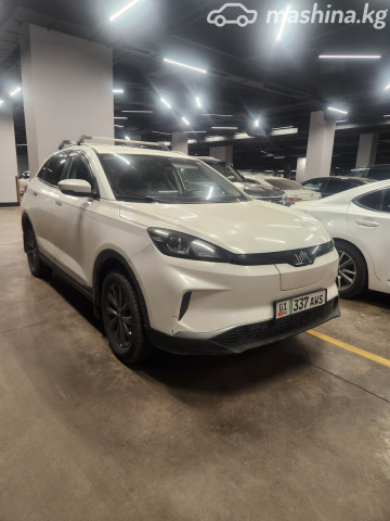 Weltmeister EX5