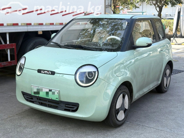 Changan Lumin