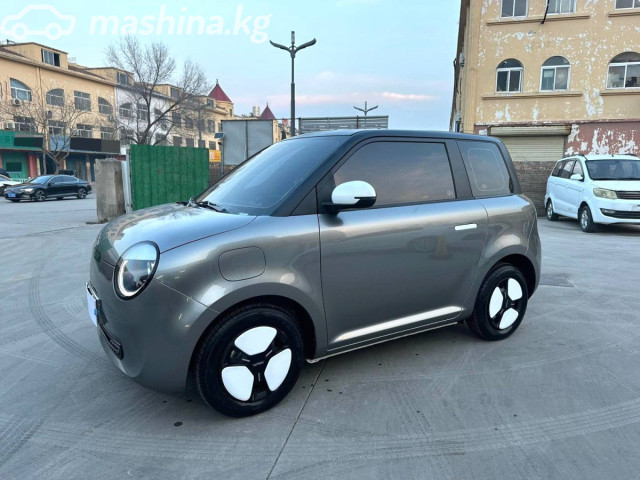 Changan Lumin