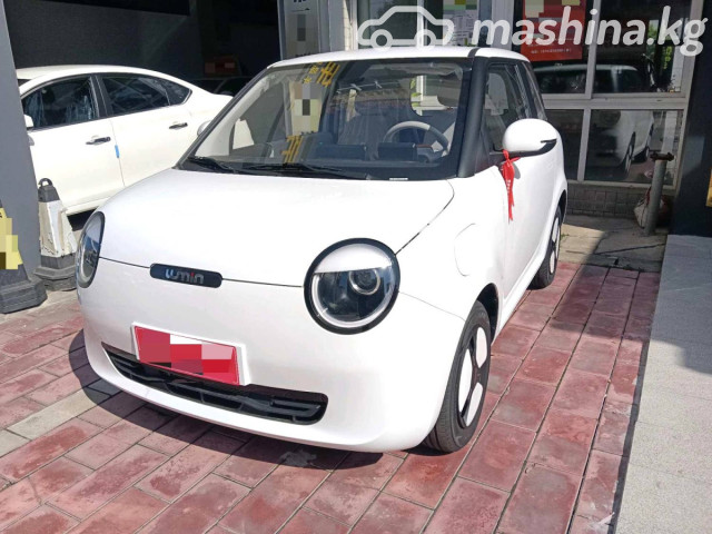 Changan Lumin