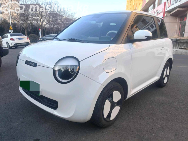 Changan Lumin