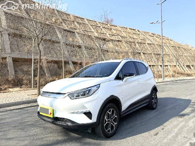 BYD Yuan Pro