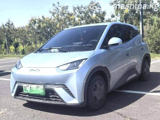 BYD Seagull