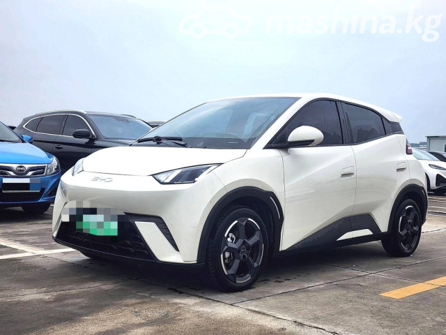 BYD Seagull
