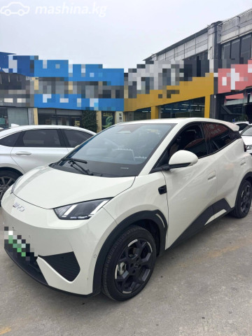 BYD Seagull