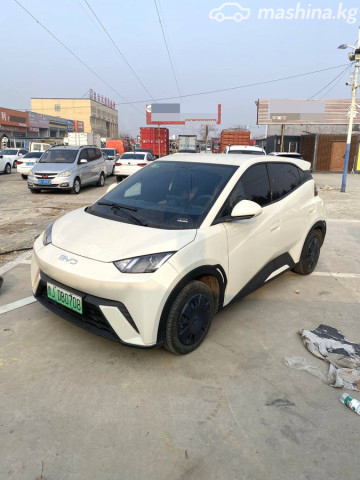 BYD Seagull