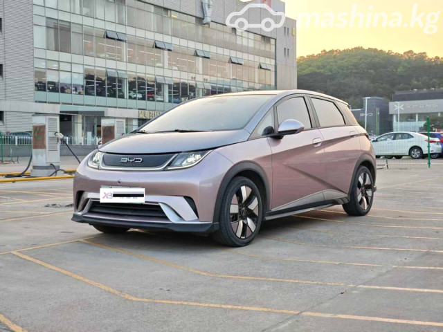 BYD Dolphin