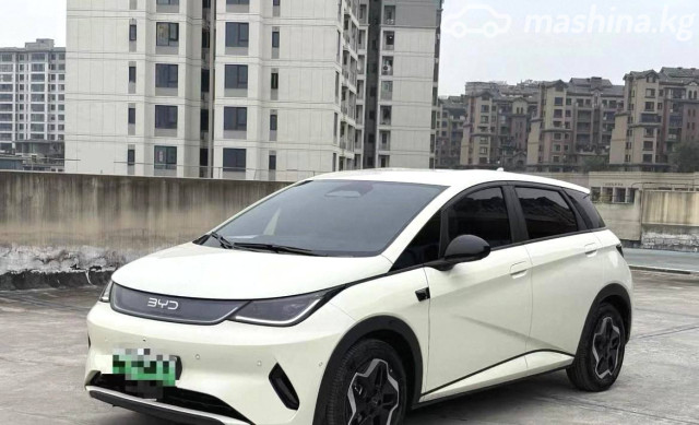BYD Dolphin