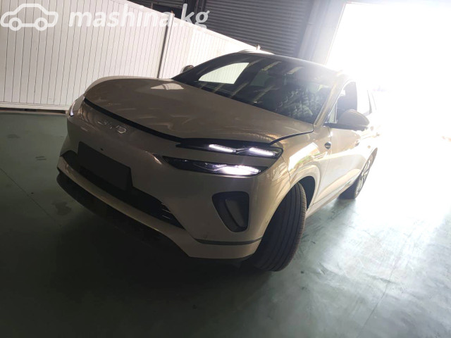 BYD Sea LIon 06