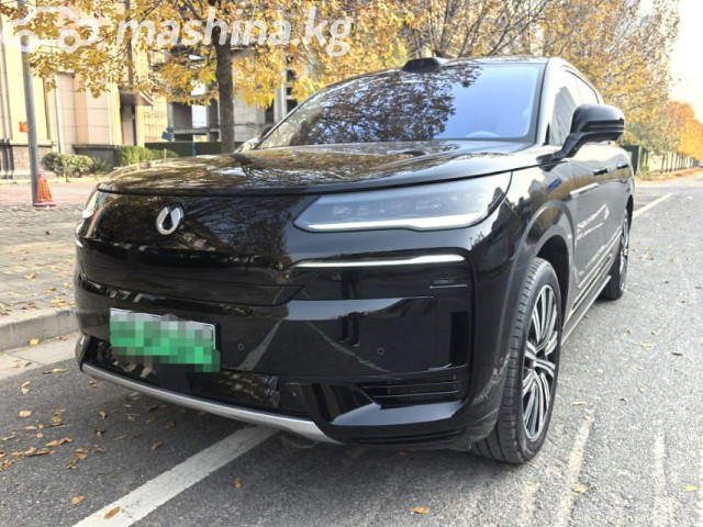 Denza N9