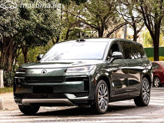 Denza N9