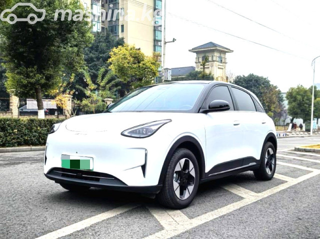Geely Geome Xingyuan
