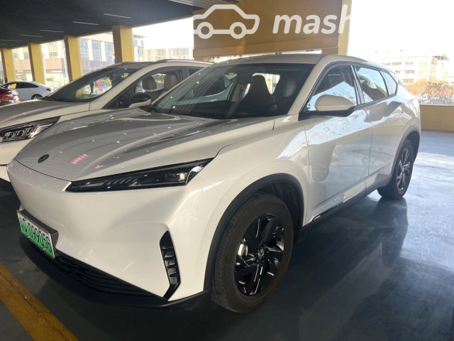 Dongfeng Sky EV01