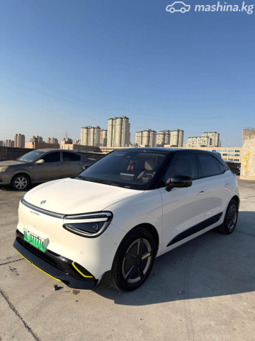 Dongfeng Nammi 01