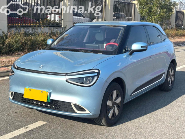 Dongfeng Nammi 01