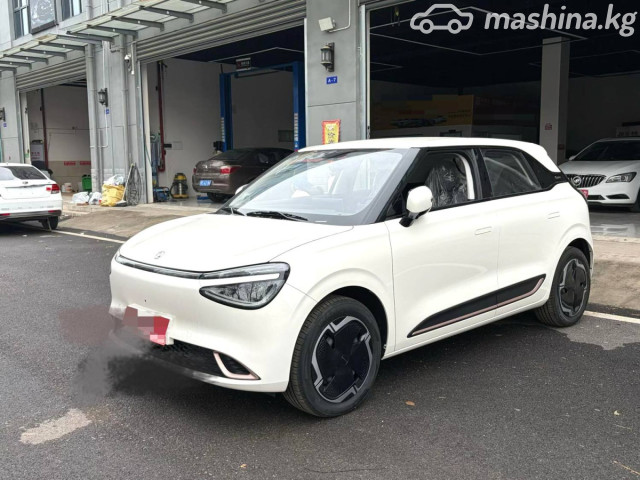 Dongfeng Nammi 01