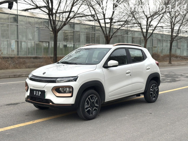 Dongfeng EX1 Pro