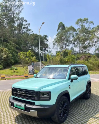 Haval Raptor
