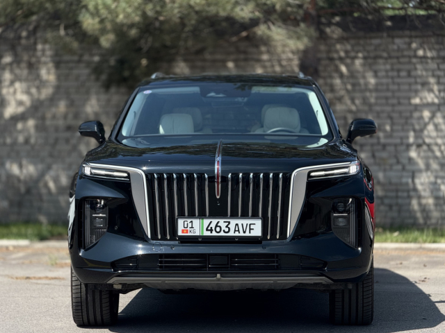 Hongqi E-HS9