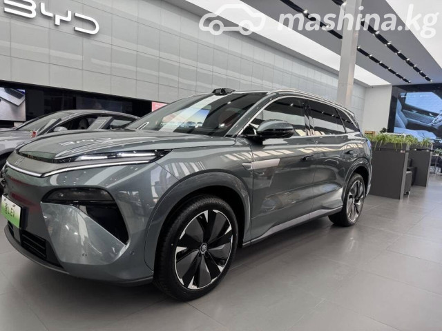 BYD Tang L