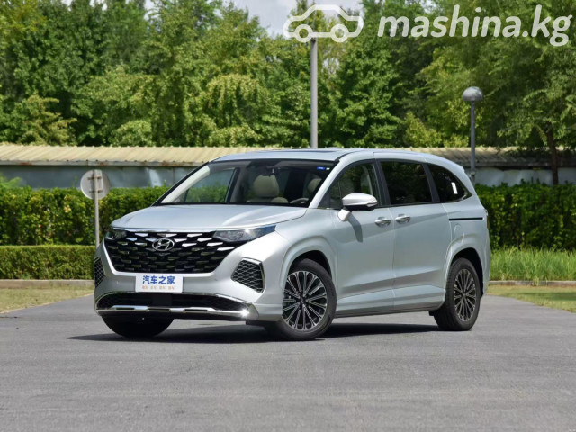 Hyundai Custo