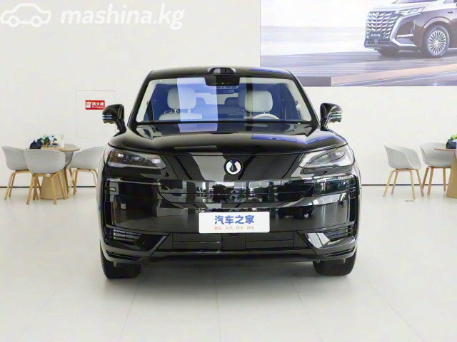 Denza N9