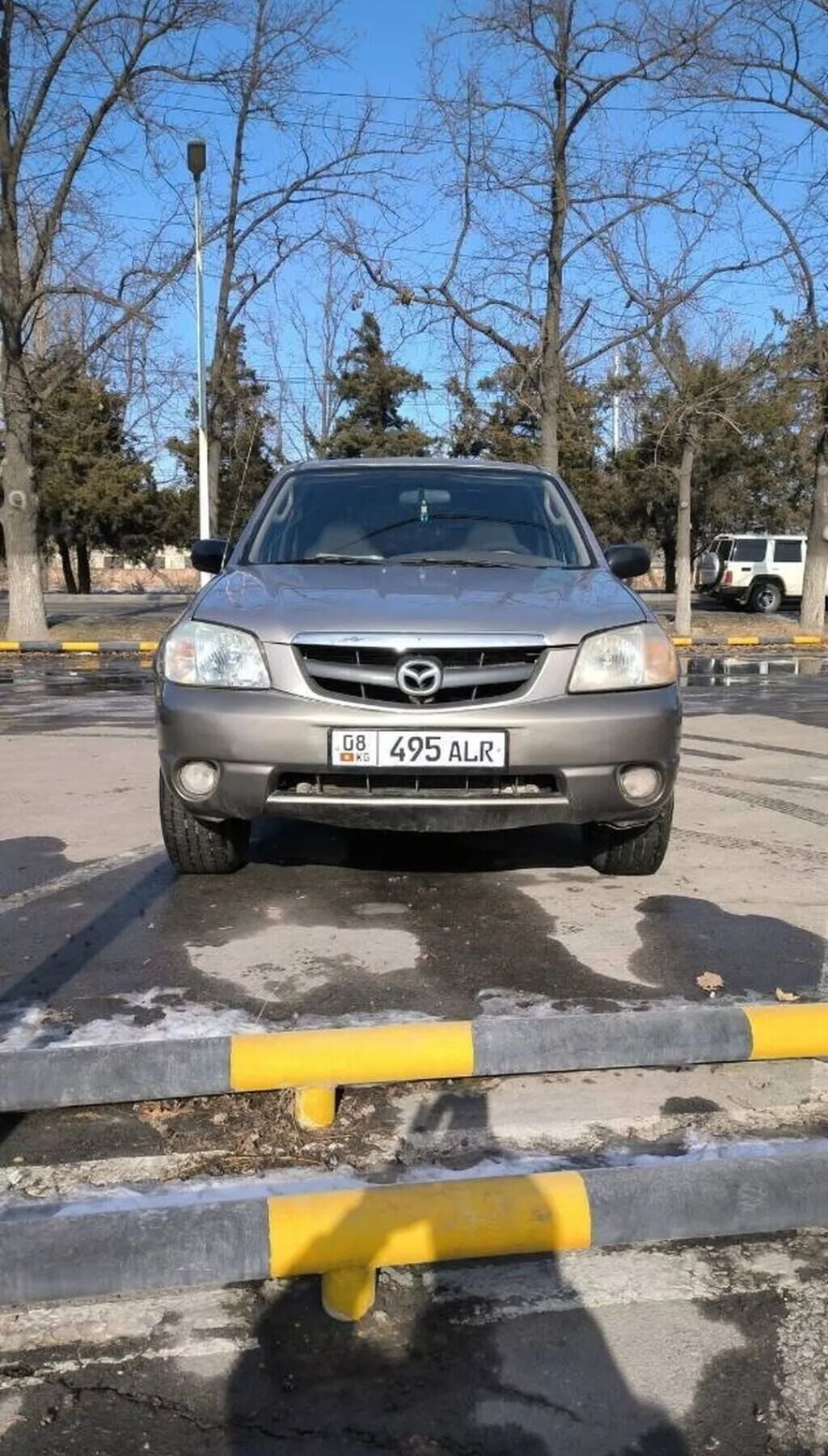 Mazda Tribute