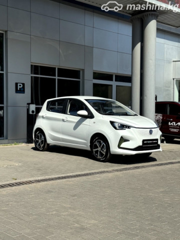 Changan Benben E-Star