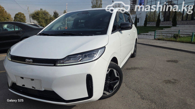 BYD D1