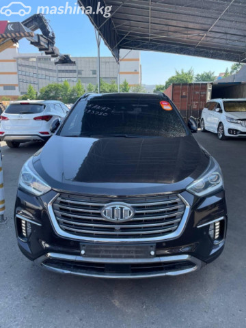 Hyundai Maxcruz