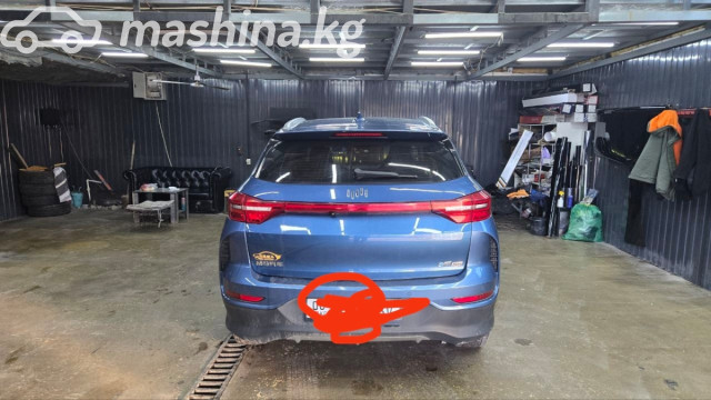 Weltmeister EX5