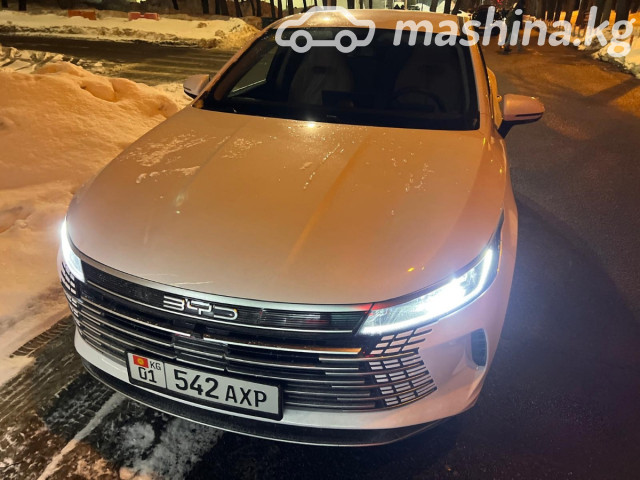 BYD Destroyer 05