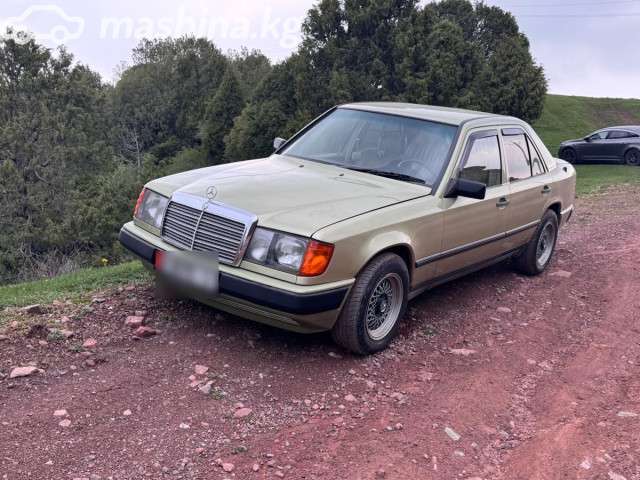 Mercedes-Benz W124
