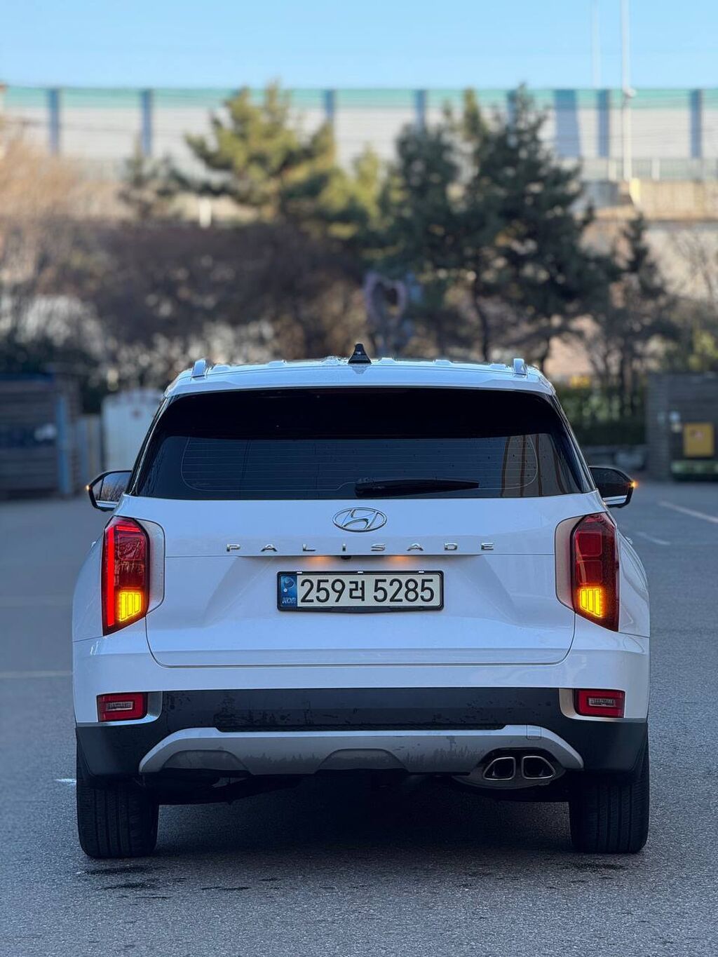 Hyundai Palisade