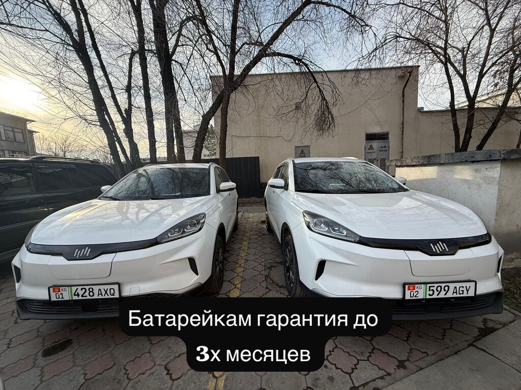 Weltmeister EX5, 2021 г., 64000 км, В наличии