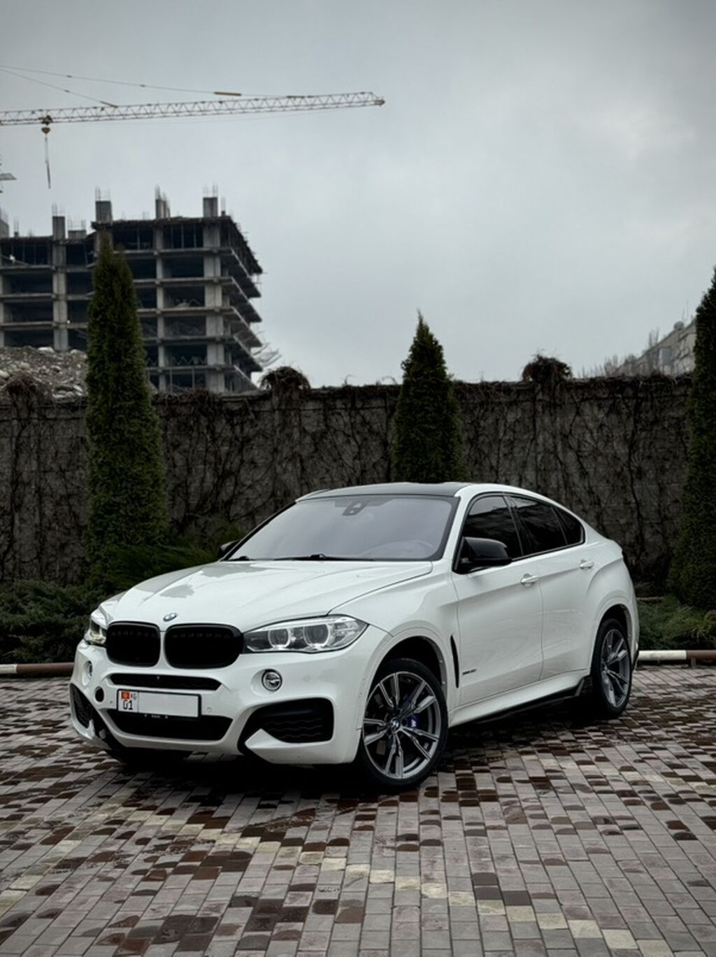 BMW X6